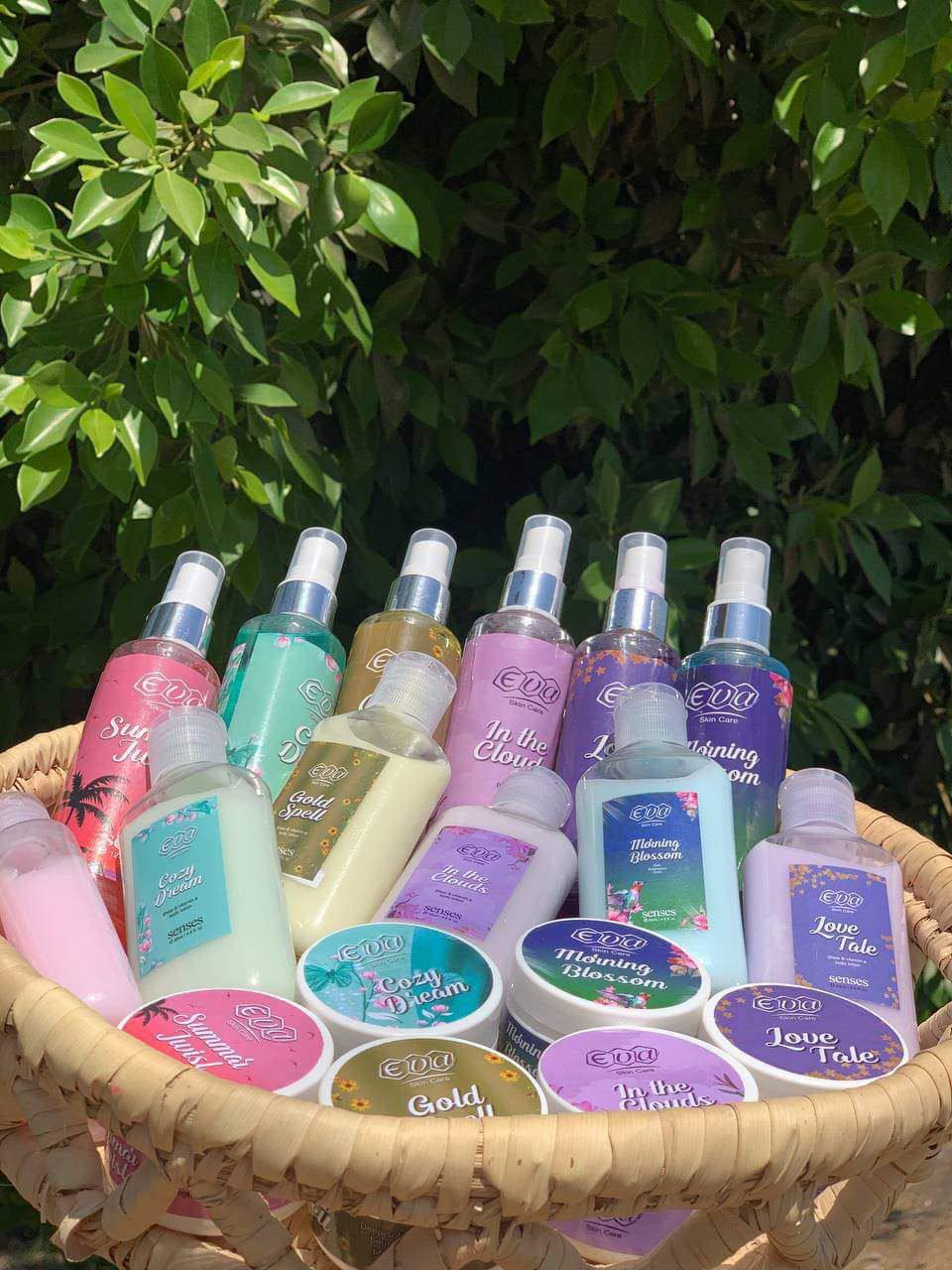 عرض ايفا ٦ سبلاش و٦ لوشن و٦ مخمريه ١٨٠ج